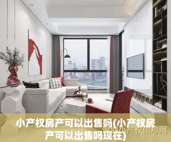 小产权房产可以出售吗(小产权房产可以出售吗现在)