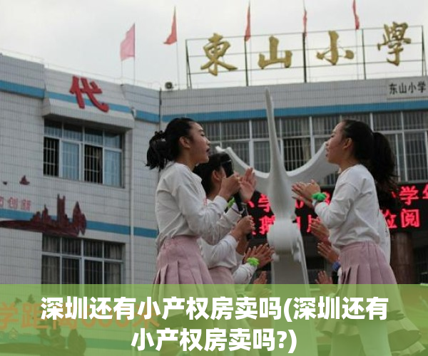 深圳还有小产权房卖吗(深圳还有小产权房卖吗?)