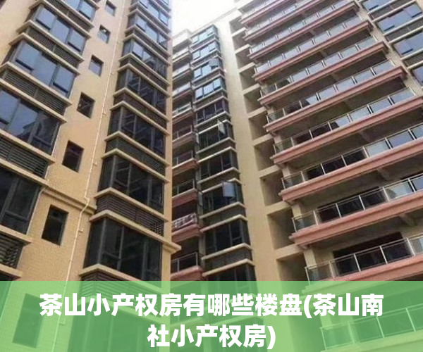 茶山小产权房有哪些楼盘(茶山南社小产权房)
