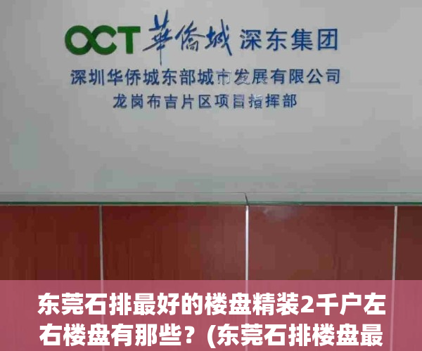 东莞石排最好的楼盘精装2千户左右楼盘有那些?(东莞石排楼盘最新动态)