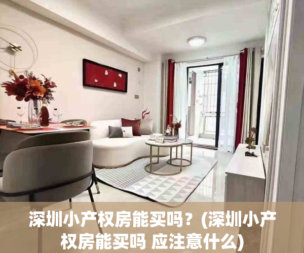 深圳小产权房能买吗?(深圳小产权房能买吗 应注意什么)