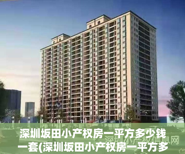 深圳坂田小产权房一平方多少钱一套(深圳坂田小产权房一平方多少钱一套啊)