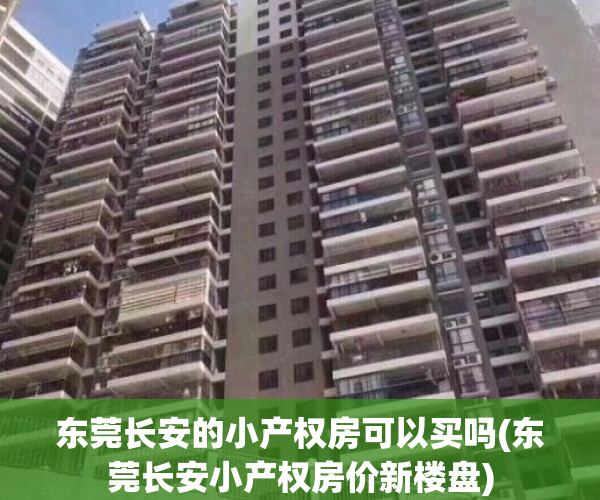 东莞长安的小产权房可以买吗(东莞长安小产权房价新楼盘)
