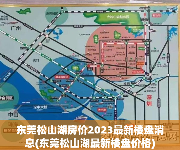 东莞松山湖房价2023最新楼盘消息(东莞松山湖最新楼盘价格)