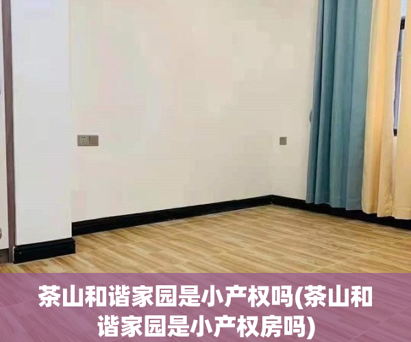 茶山和谐家园是小产权吗(茶山和谐家园是小产权房吗)