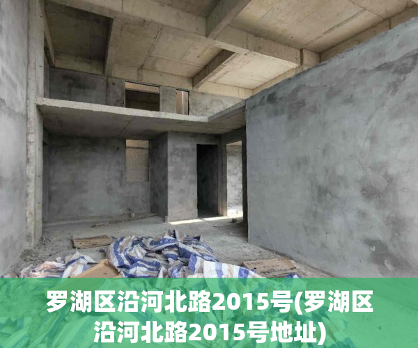 罗湖区沿河北路2015号(罗湖区沿河北路2015号地址)