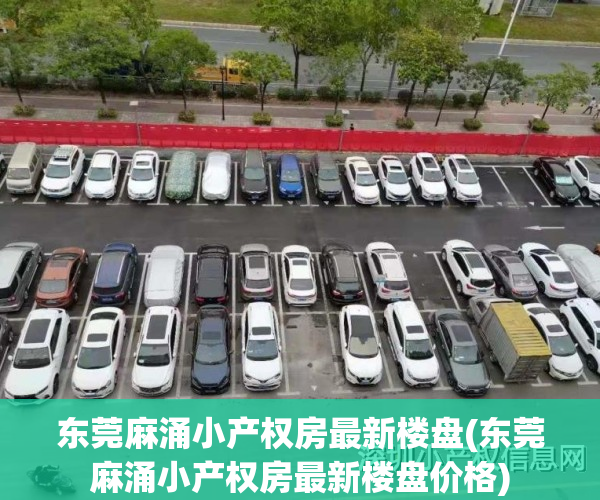 东莞麻涌小产权房最新楼盘(东莞麻涌小产权房最新楼盘价格)