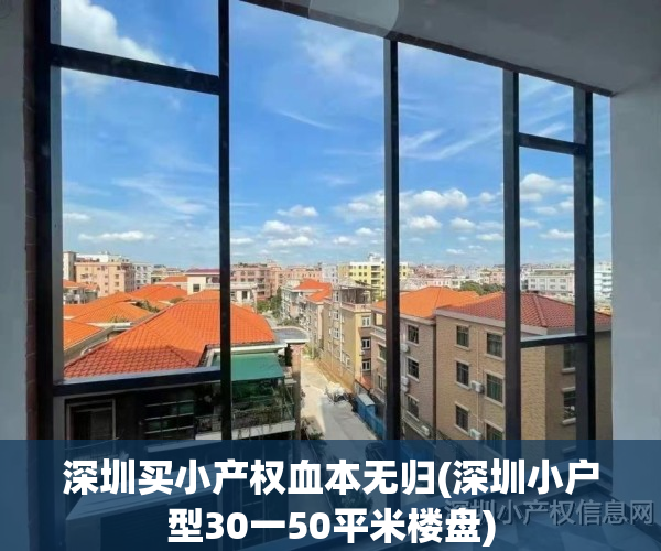 深圳买小产权血本无归(深圳小户型30一50平米楼盘)