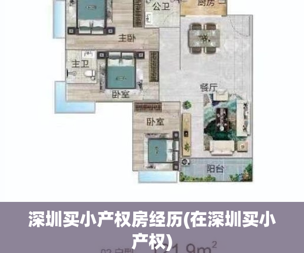 深圳买小产权房经历(在深圳买小产权)