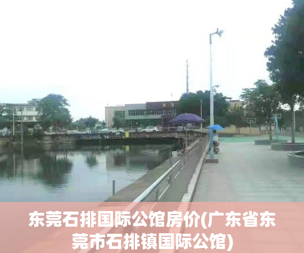 东莞石排国际公馆房价(广东省东莞市石排镇国际公馆)