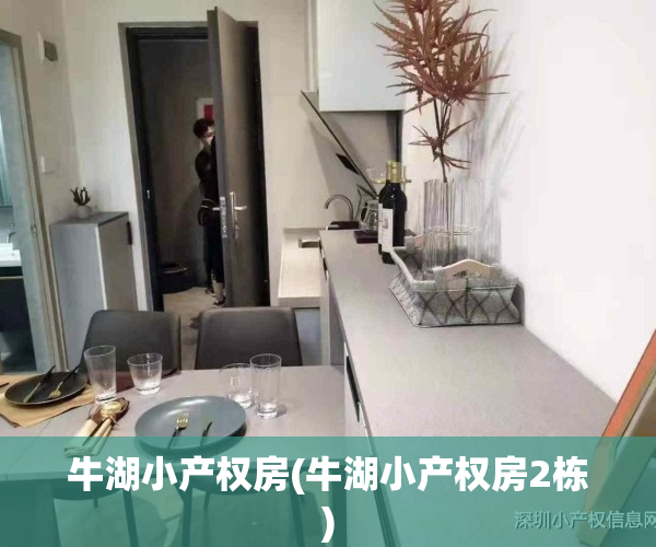 牛湖小产权房(牛湖小产权房2栋)