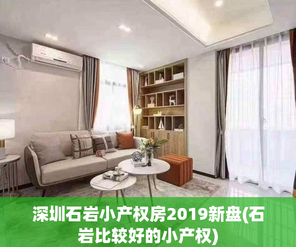深圳石岩小产权房2019新盘(石岩比较好的小产权)
