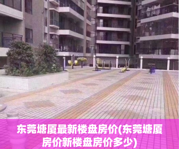 东莞塘厦最新楼盘房价(东莞塘厦房价新楼盘房价多少)