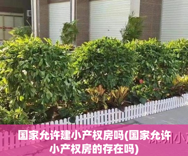 国家允许建小产权房吗(国家允许小产权房的存在吗)