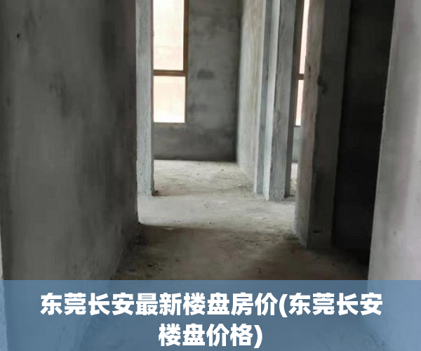 东莞长安最新楼盘房价(东莞长安楼盘价格)