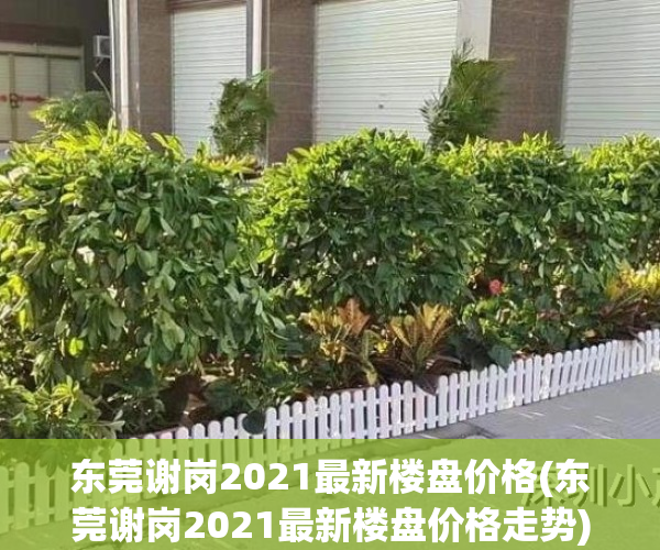 东莞谢岗2021最新楼盘价格(东莞谢岗2021最新楼盘价格走势)