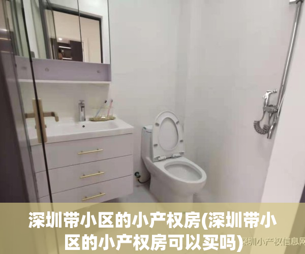 深圳带小区的小产权房(深圳带小区的小产权房可以买吗)
