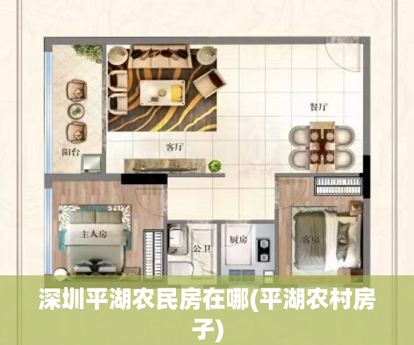 深圳平湖农民房在哪(平湖农村房子)