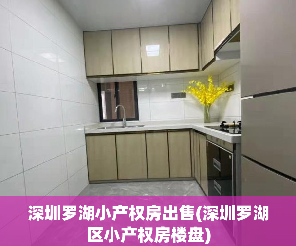 深圳罗湖小产权房出售(深圳罗湖区小产权房楼盘)