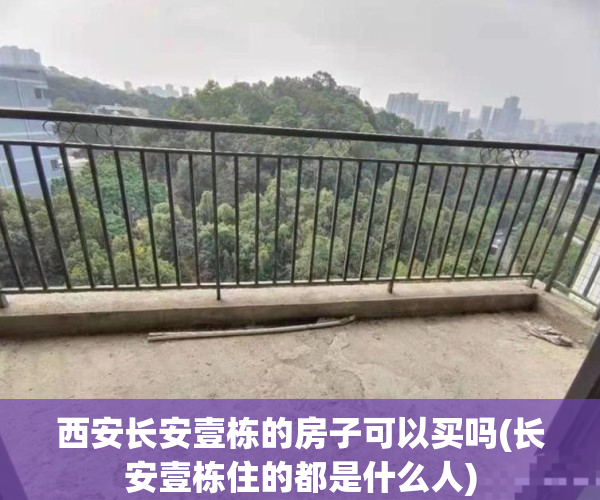 西安长安壹栋的房子可以买吗(长安壹栋住的都是什么人)