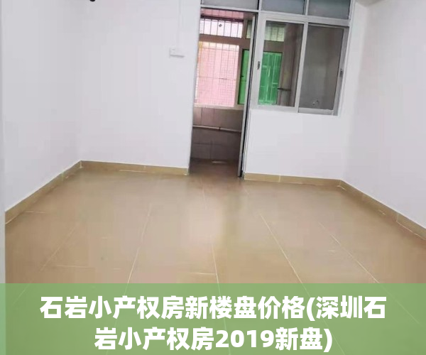 石岩小产权房新楼盘价格(深圳石岩小产权房2019新盘)