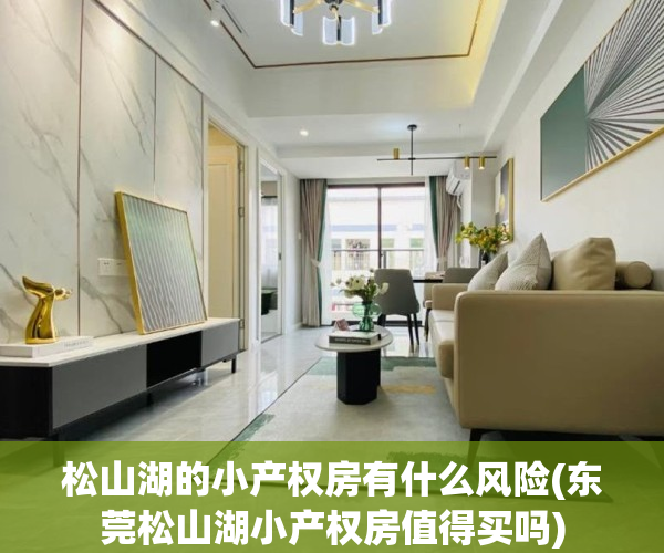 松山湖的小产权房有什么风险(东莞松山湖小产权房值得买吗)