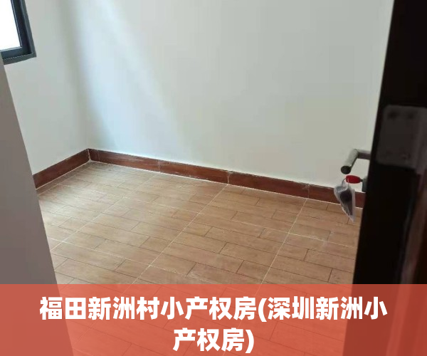 福田新洲村小产权房(深圳新洲小产权房)