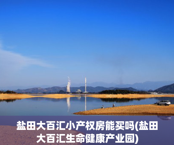 盐田大百汇小产权房能买吗(盐田大百汇生命健康产业园)