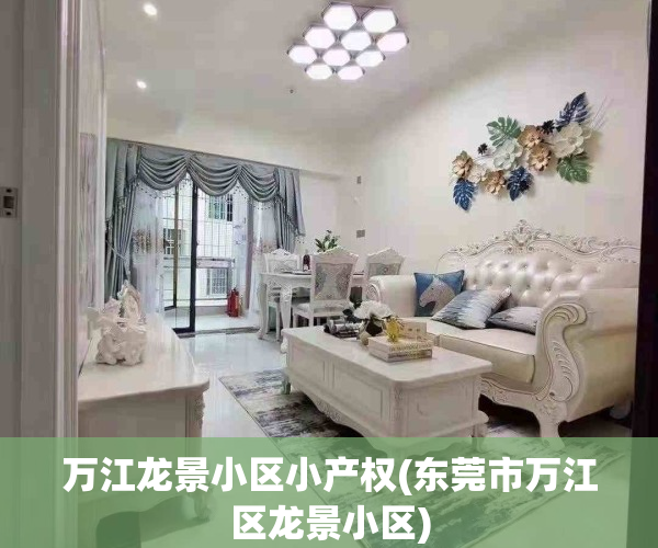 万江龙景小区小产权(东莞市万江区龙景小区)