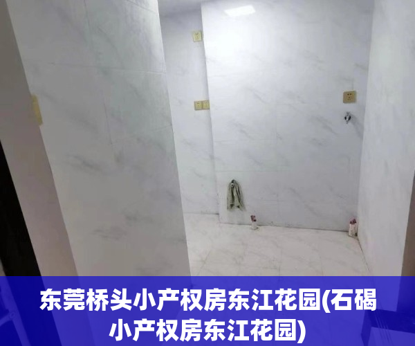 东莞桥头小产权房东江花园(石碣小产权房东江花园)