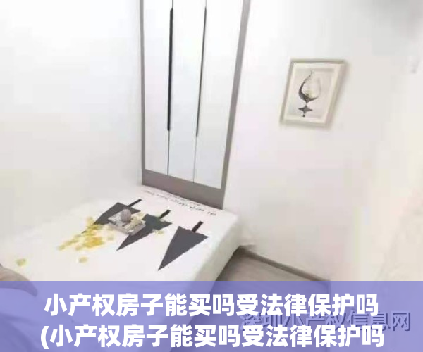 小产权房子能买吗受法律保护吗(小产权房子能买吗受法律保护吗村建小产权房能出售吗?)
