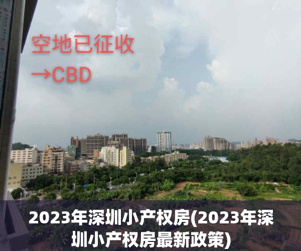 2023年深圳小产权房(2023年深圳小产权房最新政策)