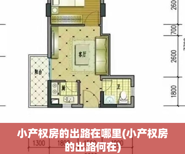 小产权房的出路在哪里(小产权房的出路何在)