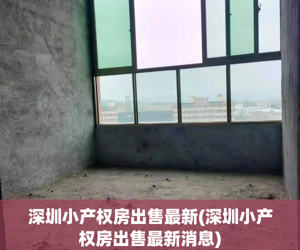 深圳小产权房出售最新(深圳小产权房出售最新消息)