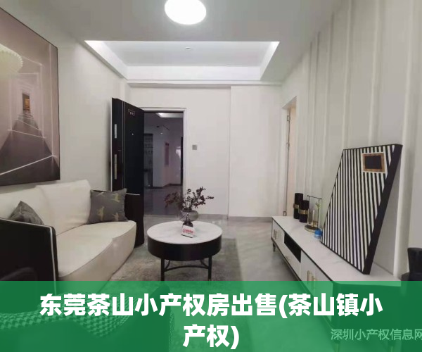 东莞茶山小产权房出售(茶山镇小产权)