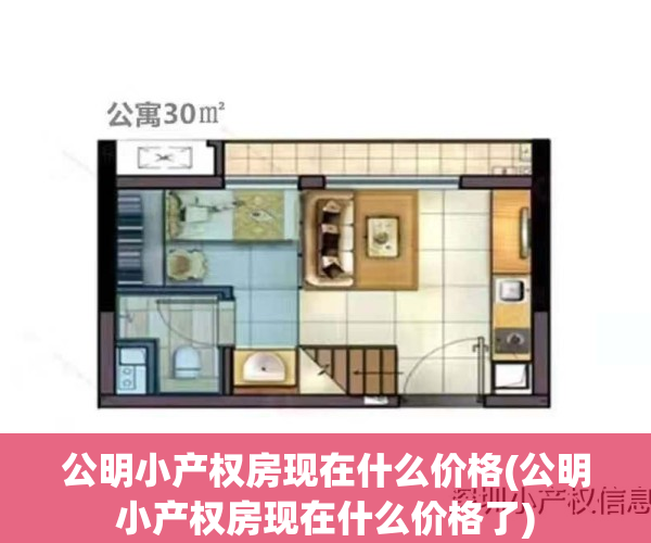公明小产权房现在什么价格(公明小产权房现在什么价格了)