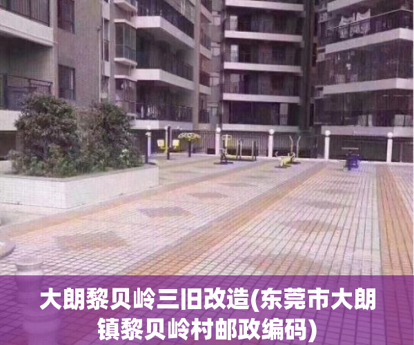 大朗黎贝岭三旧改造(东莞市大朗镇黎贝岭村邮政编码)