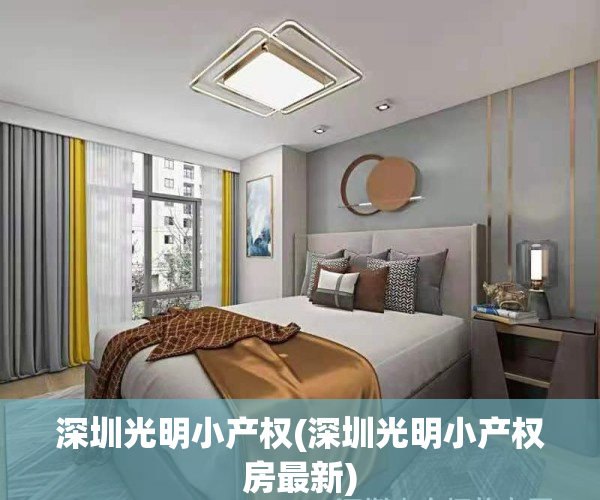 深圳光明小产权(深圳光明小产权房最新)