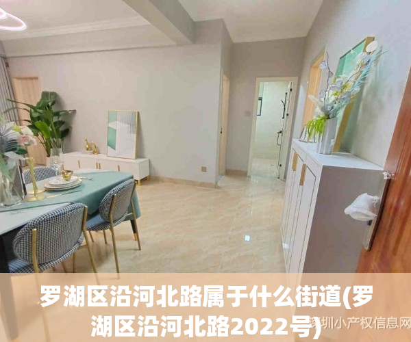 罗湖区沿河北路属于什么街道(罗湖区沿河北路2022号)