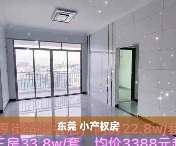 东莞 小产权房