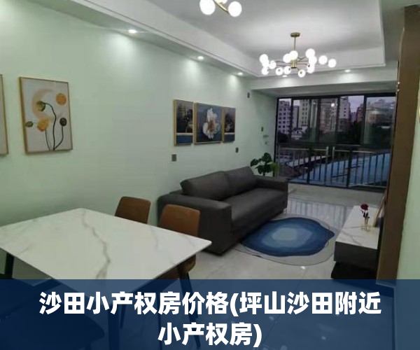 沙田小产权房价格(坪山沙田附近小产权房)