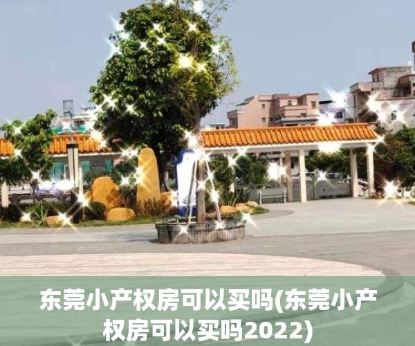 东莞小产权房可以买吗(东莞小产权房可以买吗2022)