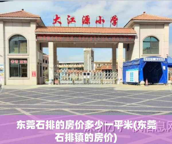 东莞石排的房价多少一平米(东莞石排镇的房价)