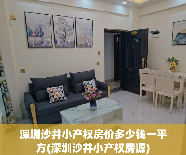 深圳沙井小产权房价多少钱一平方(深圳沙井小产权房源)