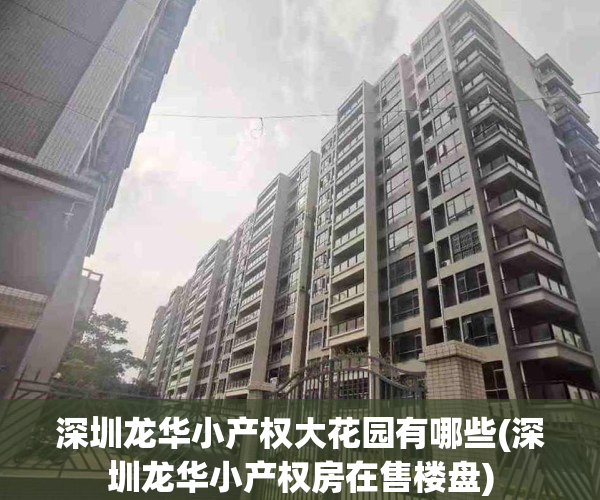 深圳龙华小产权大花园有哪些(深圳龙华小产权房在售楼盘)