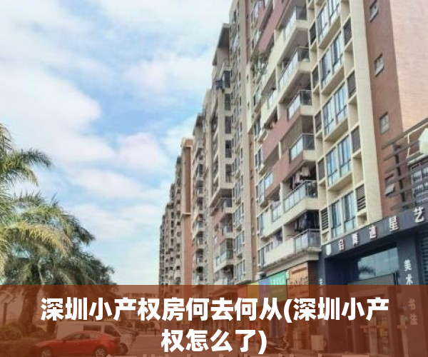深圳小产权房何去何从(深圳小产权怎么了)