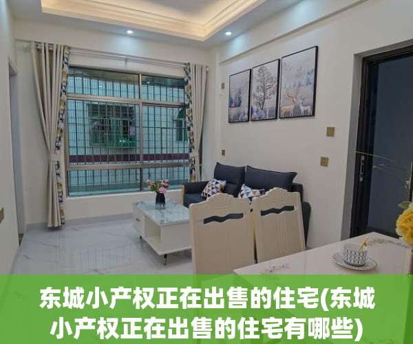 东城小产权正在出售的住宅(东城小产权正在出售的住宅有哪些)