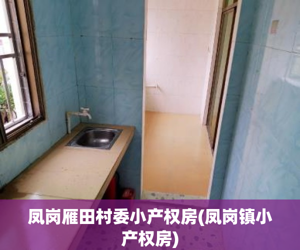 凤岗雁田村委小产权房(凤岗镇小产权房)