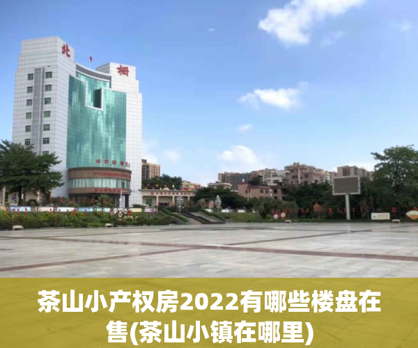 茶山小产权房2022有哪些楼盘在售(茶山小镇在哪里)