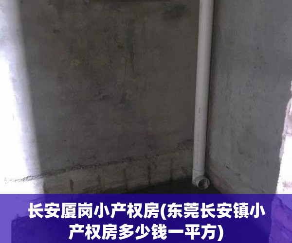 长安厦岗小产权房(东莞长安镇小产权房多少钱一平方)